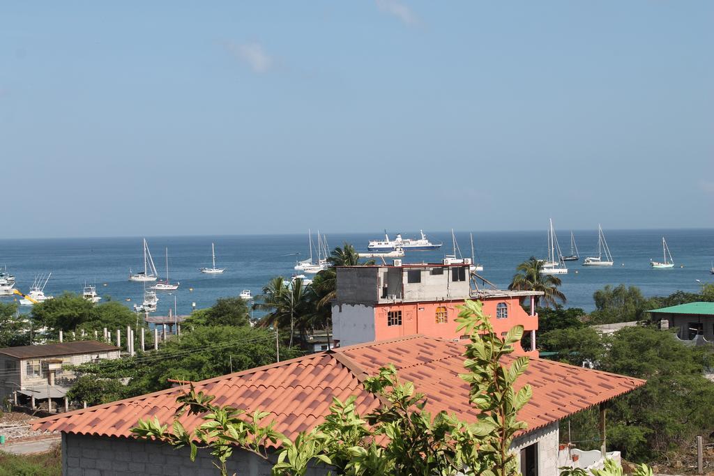 海豚之家酒店 巴克里索莫雷诺港 外观 照片